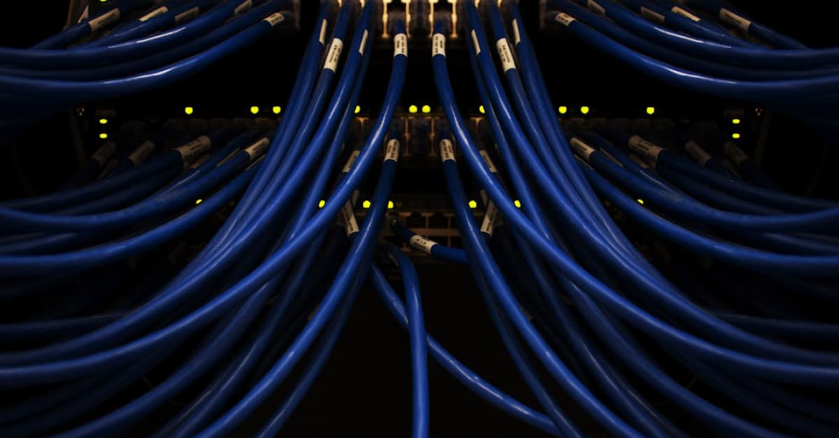 What Empowering the Future: Celebrating the International Day of Means for Bulacan Businesses