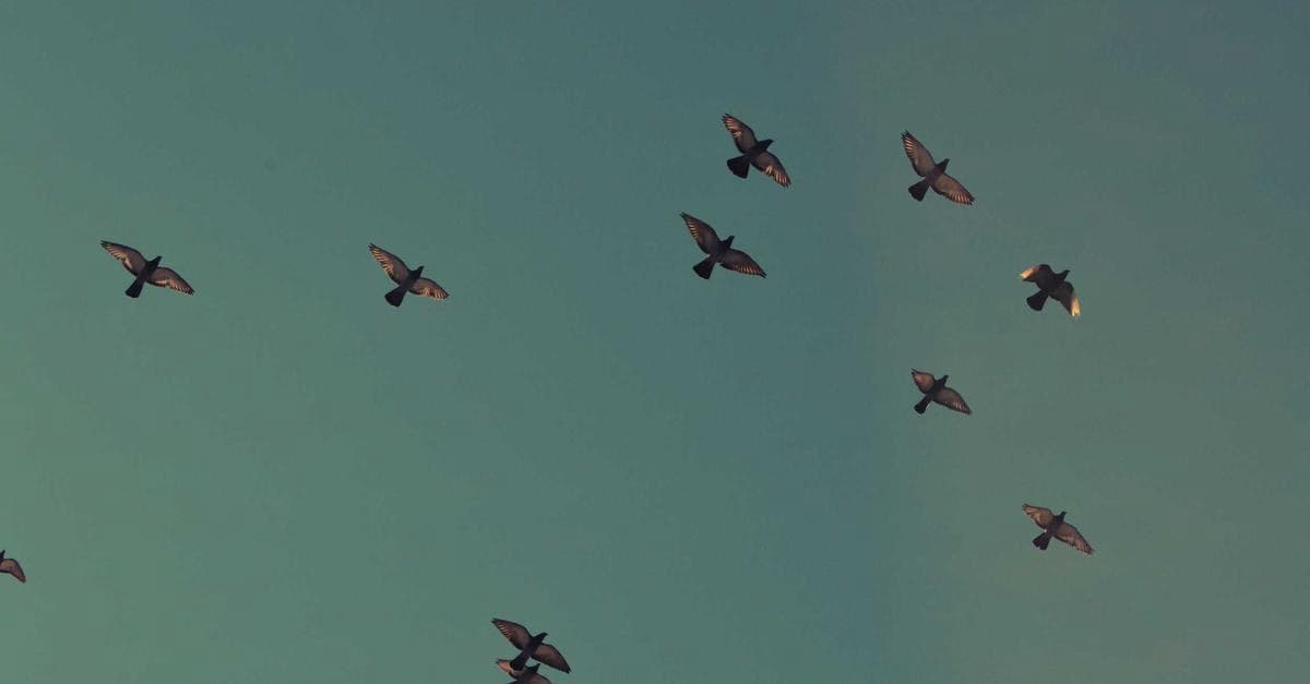 What Maine's governor vetoes data center moratorium Means for Fort Bonifacio Businesses