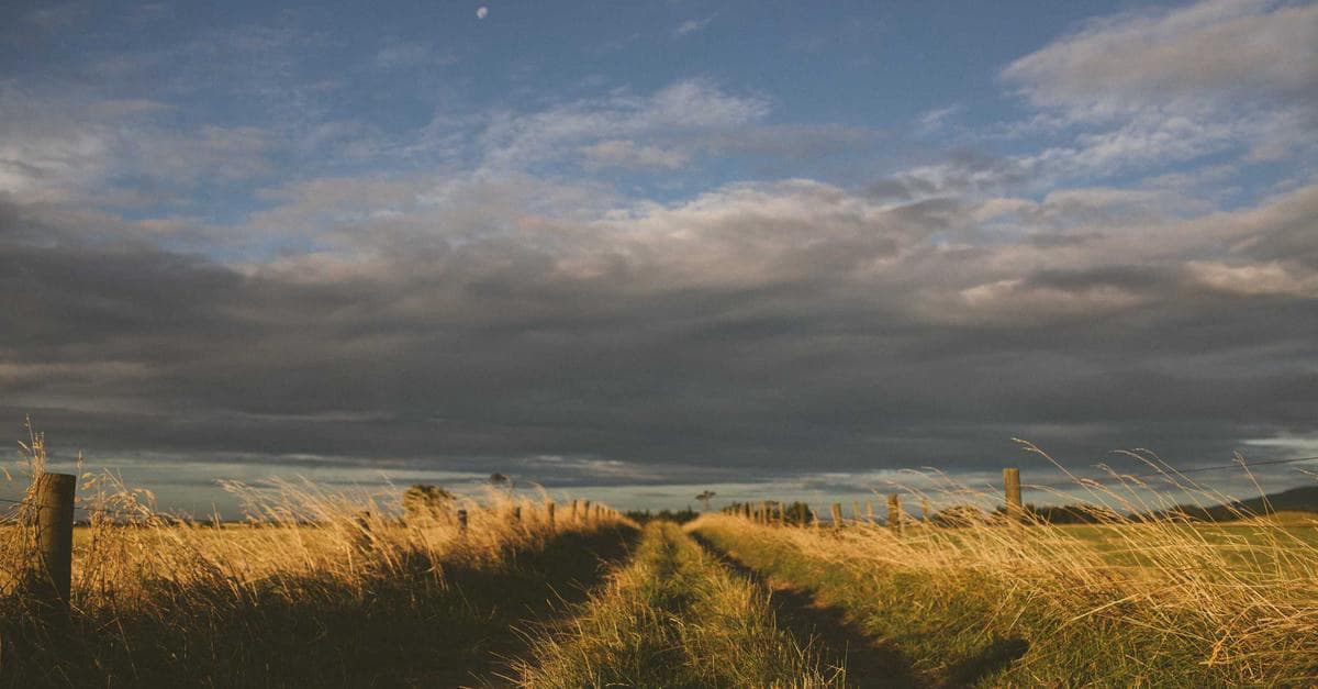 What New Checkmarx supply-chain breach affects KICS analysis tool Means for Manila Businesses