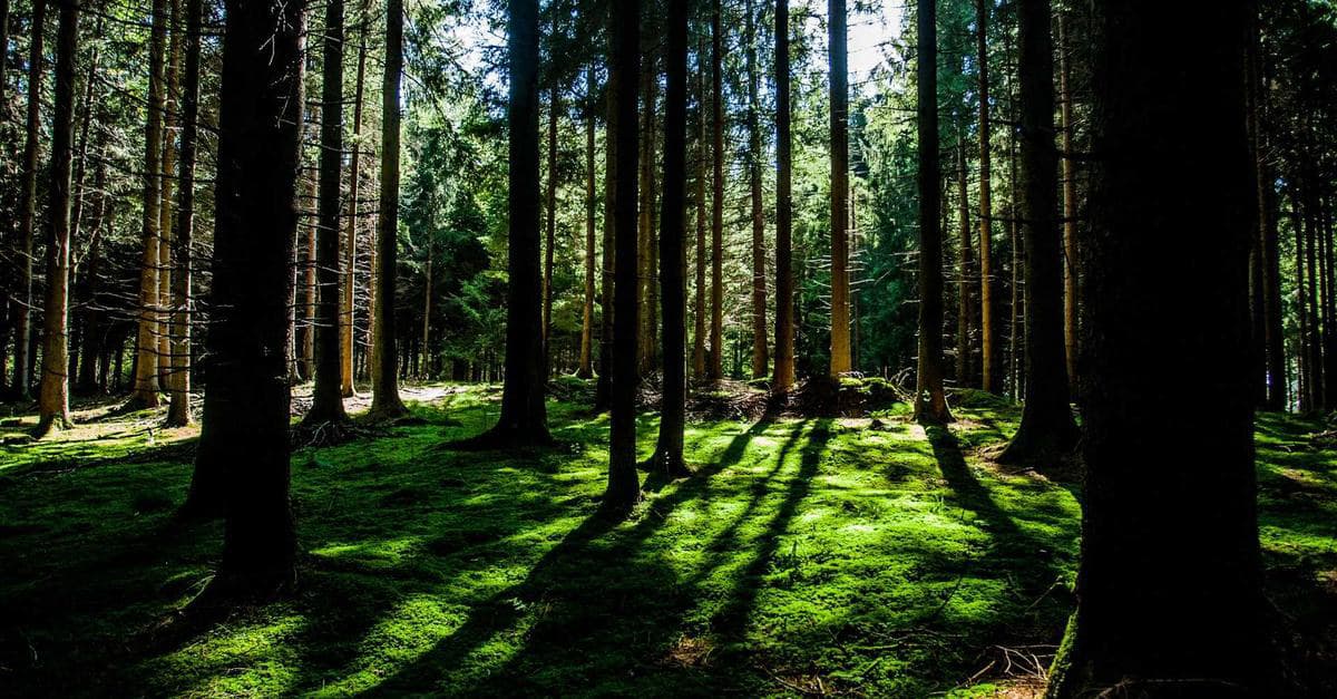 What Payouts King ransomware uses QEMU VMs to bypass endpoint sec Means for Subic Bay Businesses