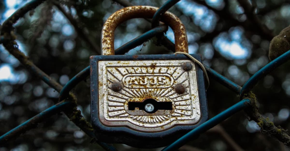 What Rust-Based VENON Malware Targets 33 Brazilian Banks with Cre Means for Tarlac Businesses