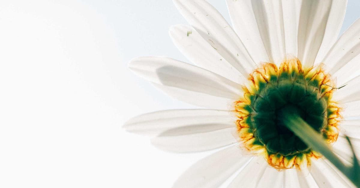 What Veeam Named Alliance Partner of the Year at 4th Annual Scale Means for Pampanga Businesses